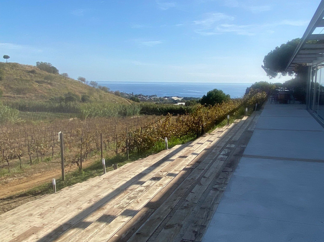 Alta Alella-Alella必去景点