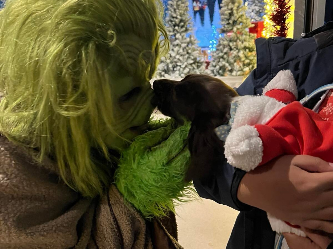 Zip World Tower-Rhigos必去景点