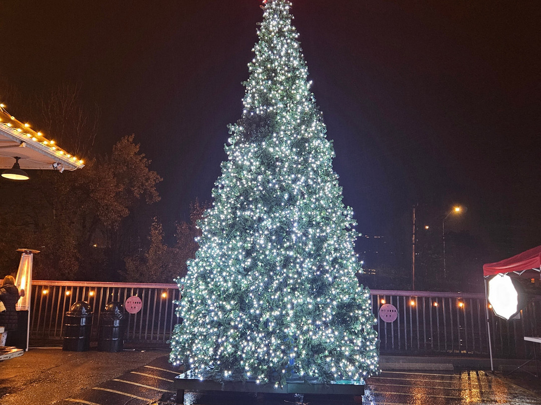 Mount Hood Railroad-胡德里弗必去景点