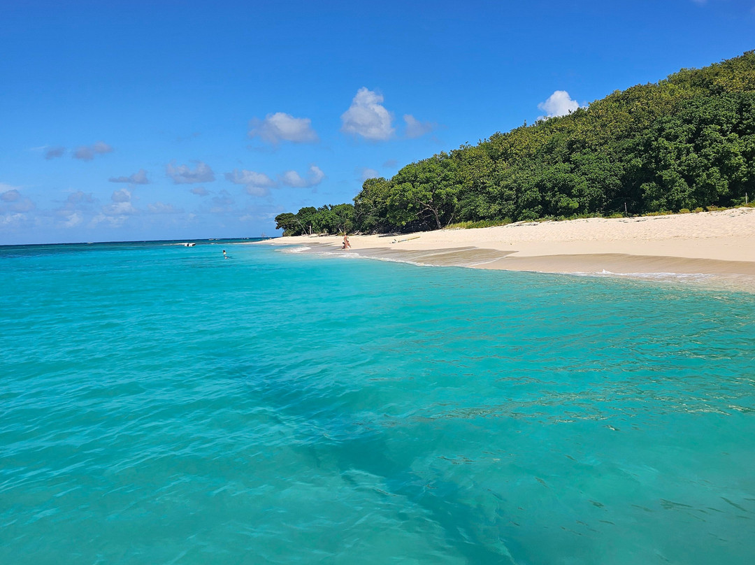 Big Beard's Adventure Tours-Christiansted必去景点