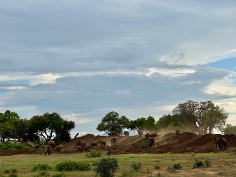 Holaa Safari Kenya-蒙巴萨必去景点
