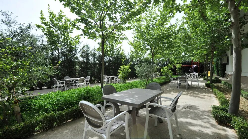 Dora Residence主图