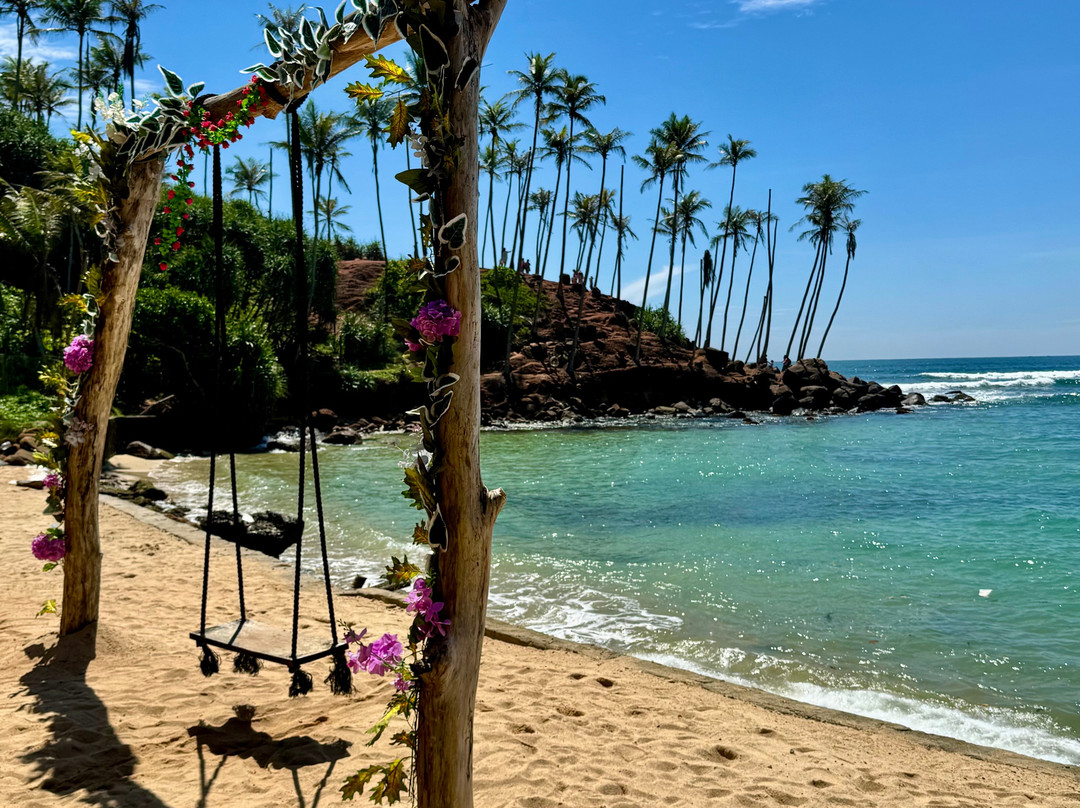 Coconut Tree Hill-美蕊沙必去景点