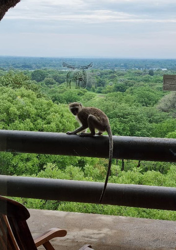 Elephant Hills Resort主图