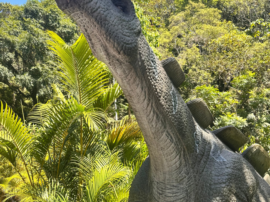 Aventura Jurássica-康泊琉海水浴场必去景点