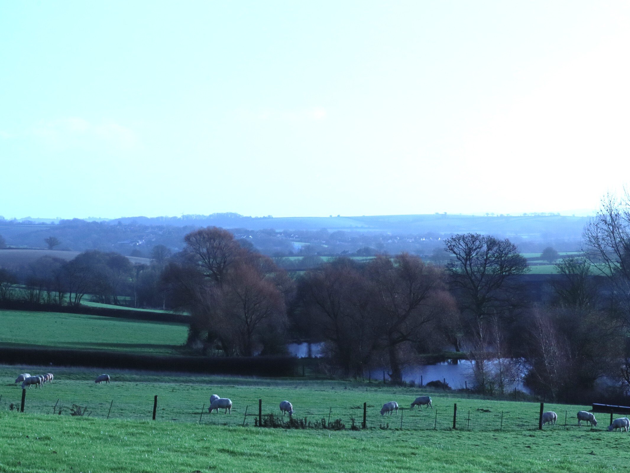 Nichols Nymet House-酒店景观