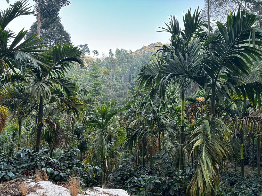 Bettadamalali Estate Homestay主图