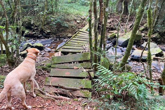 Cascata Garganta dos Polacos-Casca必去景点