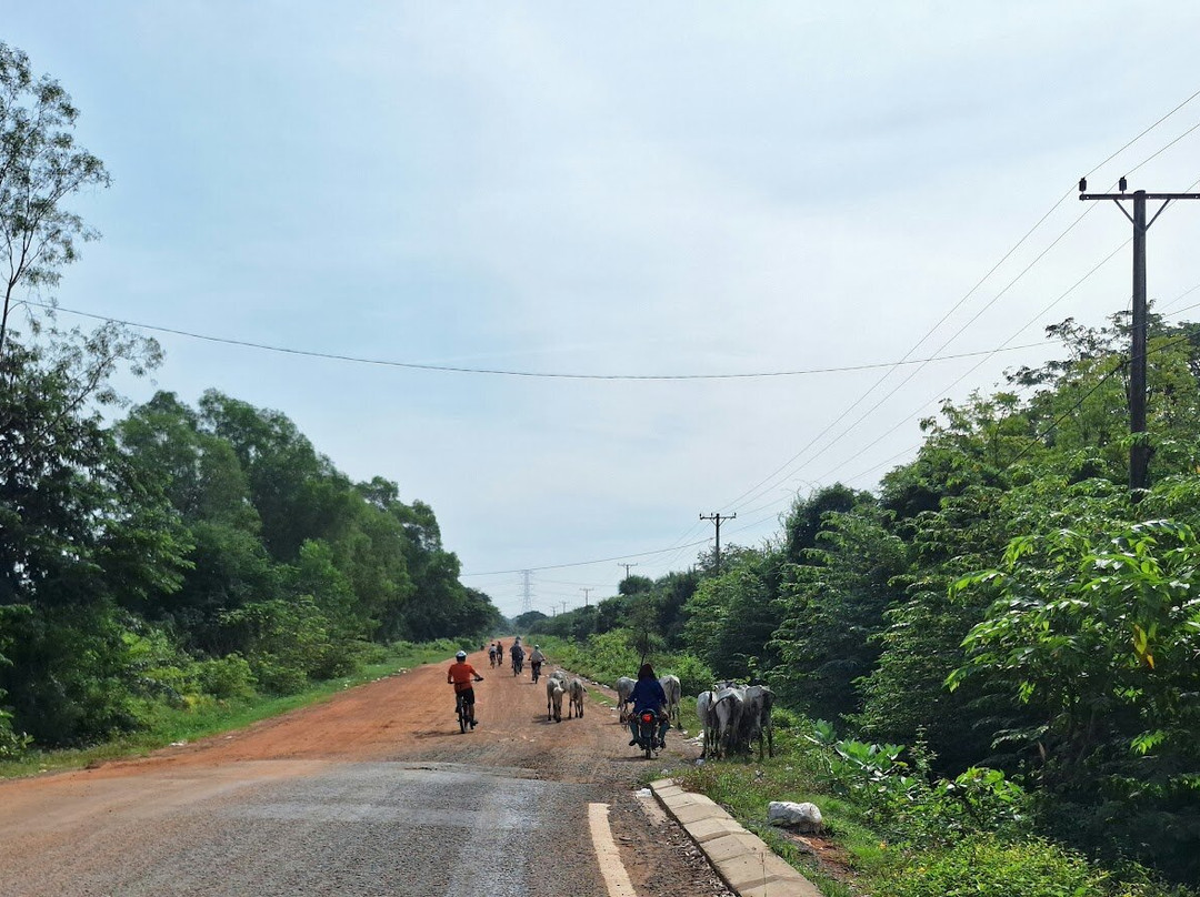 Escape Adventures Nz-阿什伯顿必去景点