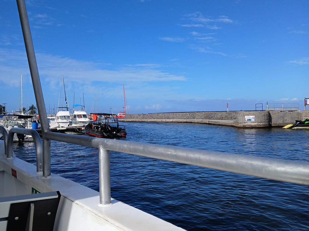 Croisieres & Decouvertes - Le Grand Bleu-圣吉尔莱班必去景点