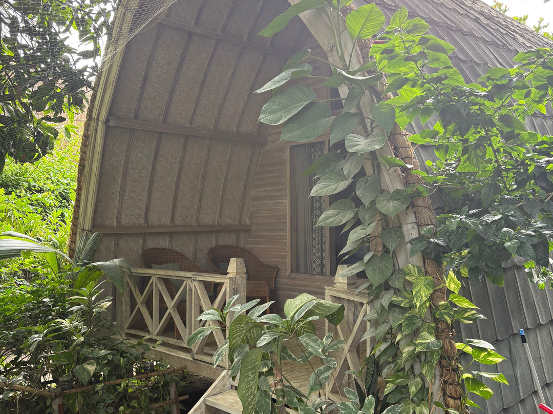 Flowers and Fire Yoga Garden Gili Air-Gili Air必去景点