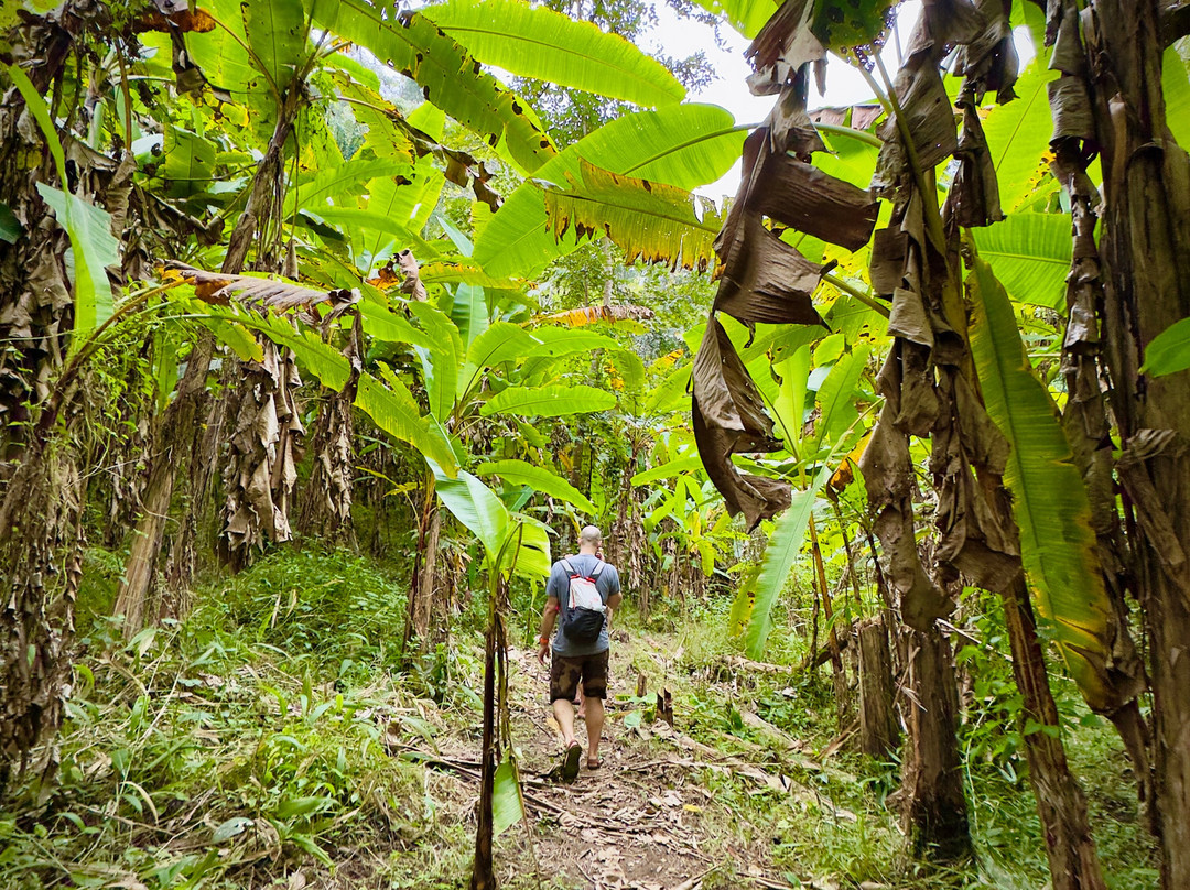 Chiang Mai Eco Trekking-清迈必去景点