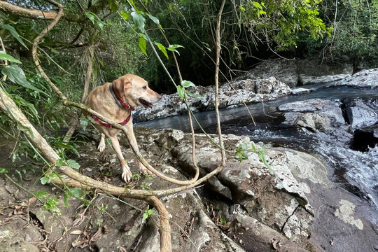 Cascata da Grota-Rolante必去景点