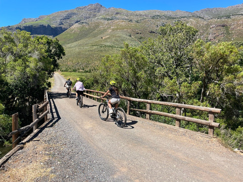 Ride In Bike Hire-斯泰伦博斯必去景点