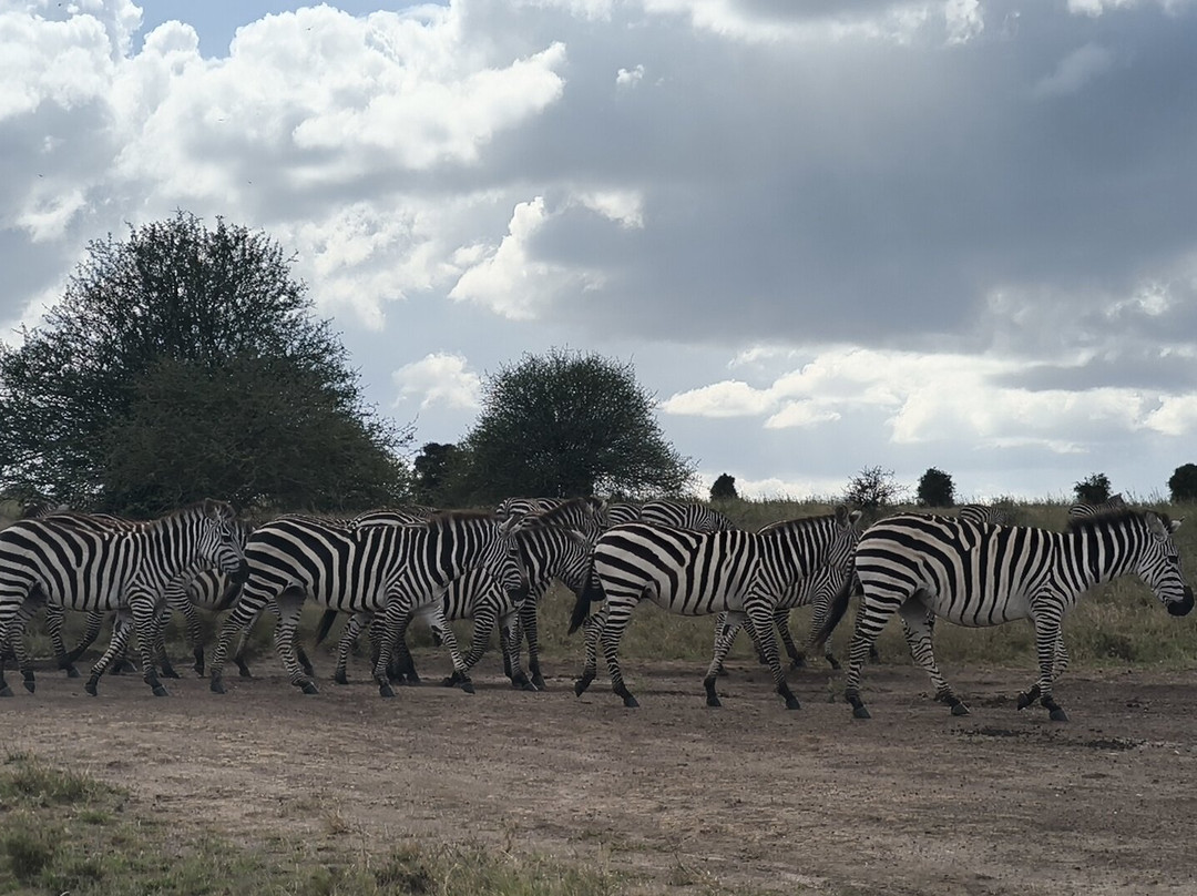 Kenya Tour Budget Safari-内罗毕必去景点