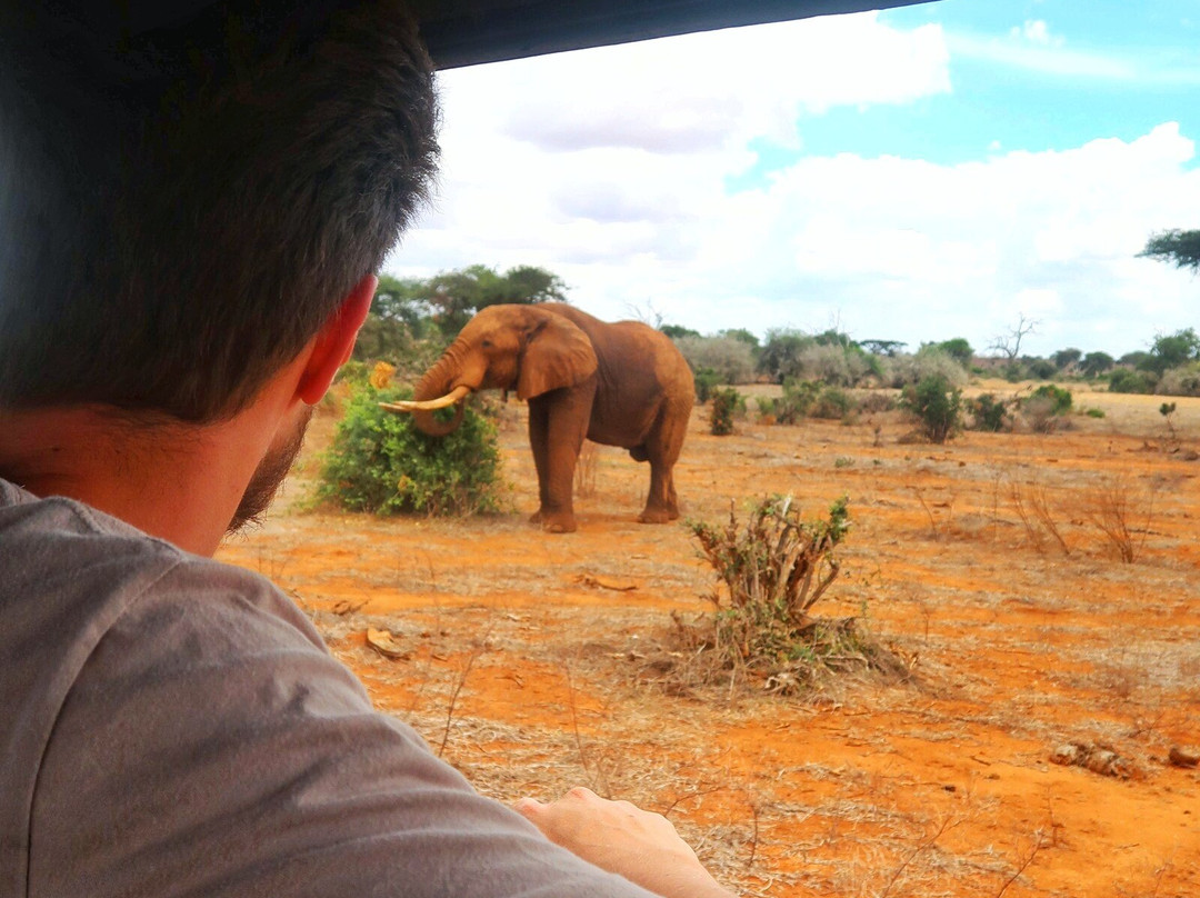 The Aurelia Concierge-瓦塔木必去景点