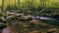 Cades Cove Visitor Center-大雾山国家公园必去景点
