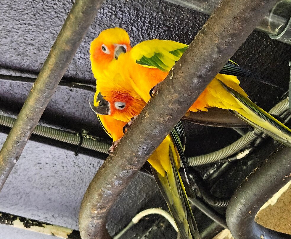 Tropikariet-赫尔辛堡必去景点