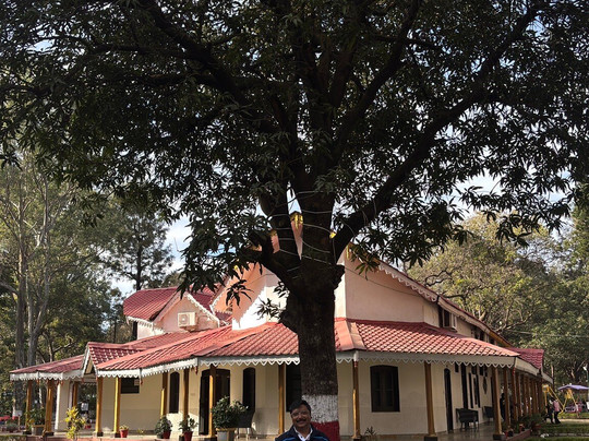 MPT Amaltas, Pachmarhi主图