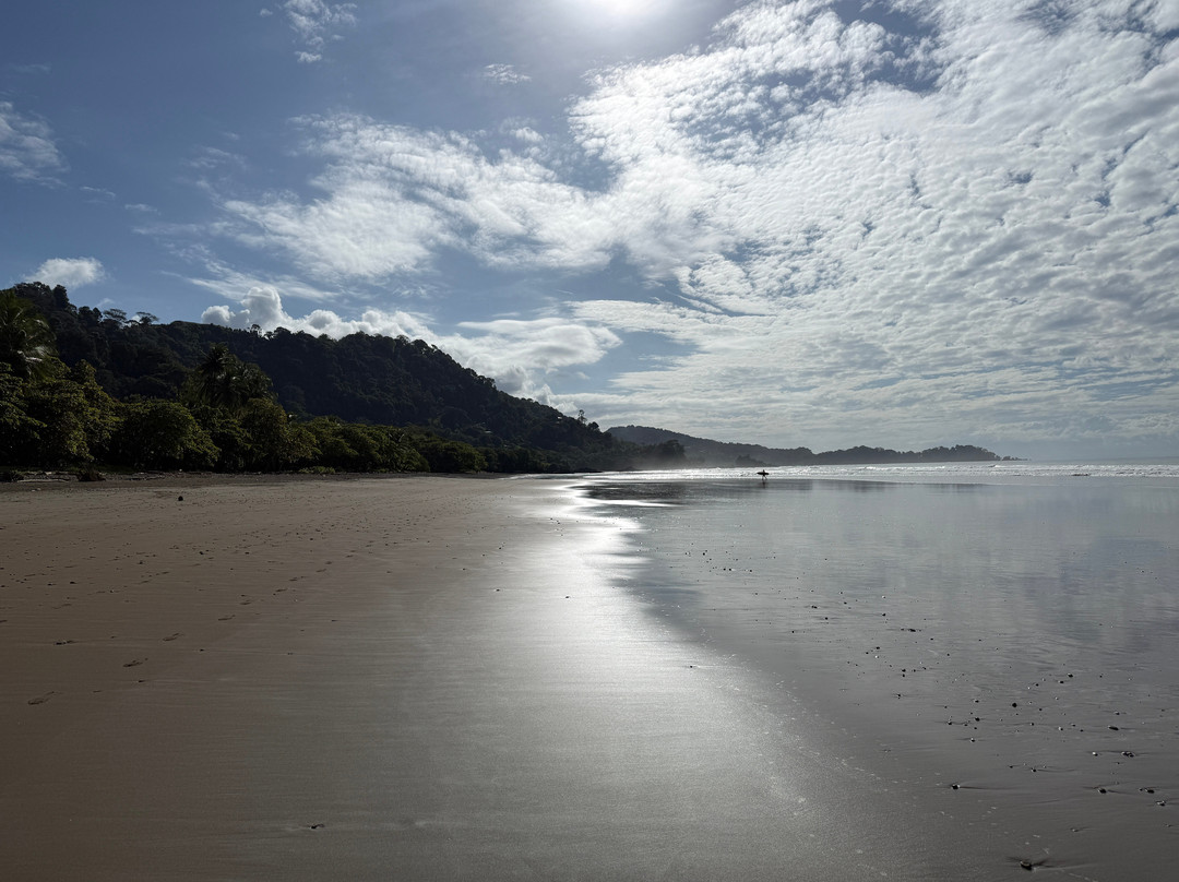 Dominical Surf School-主日镇必去景点