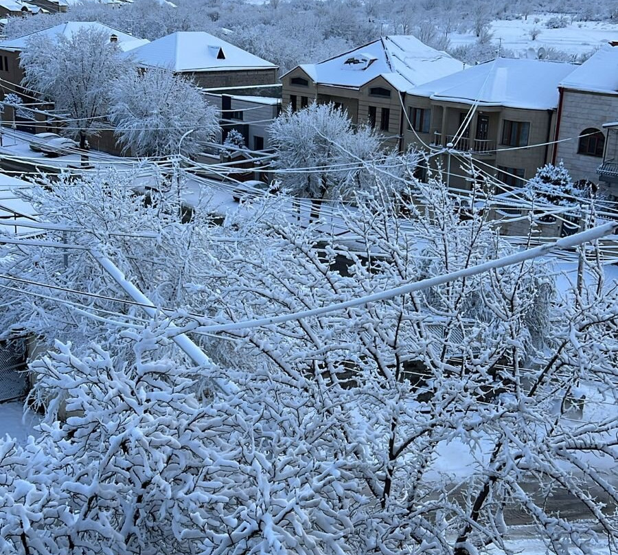 Ari Home Aghveran