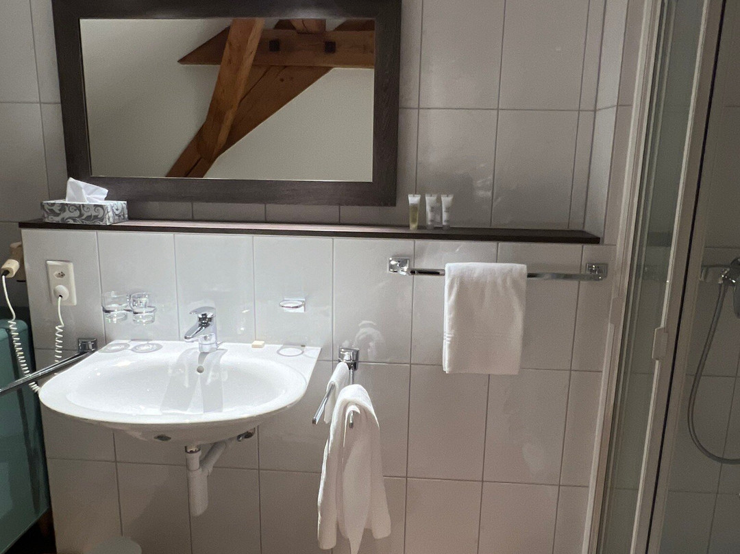 Hotel Schwanen主图