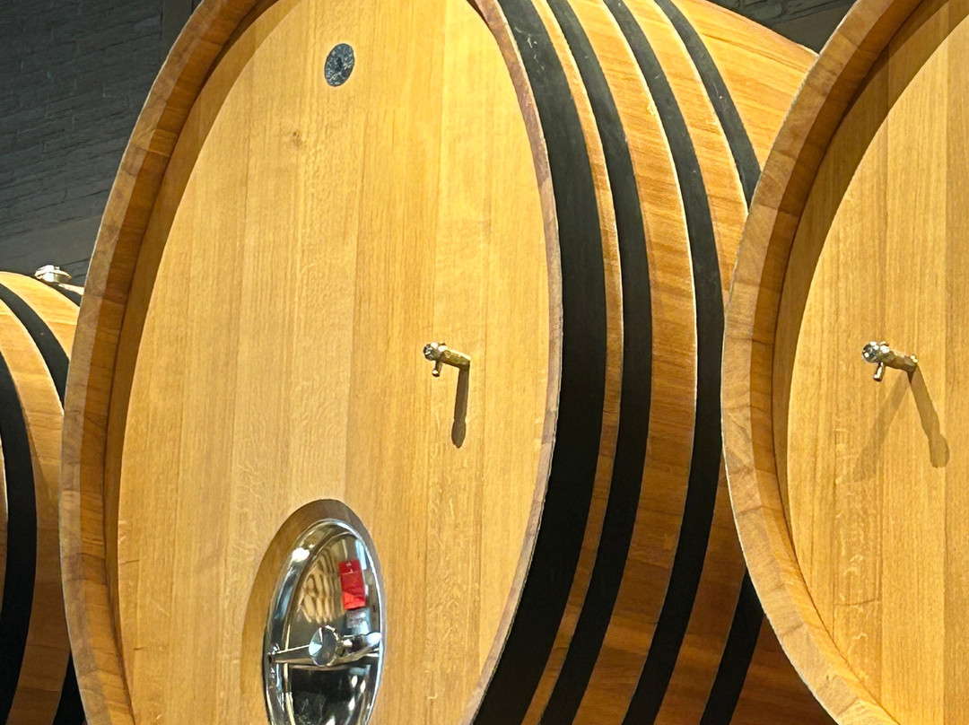 Bodegas Emilio Moro Bierzo-蓬费拉达必去景点