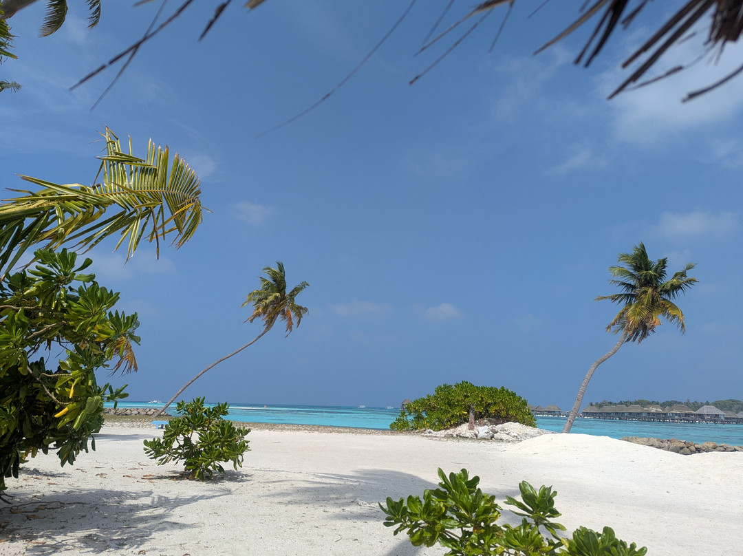 The Bilimbi Guesthouse & Inn主图