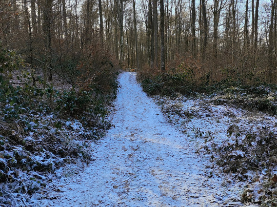 Altschlossfelsen-Eppenbrunn必去景点