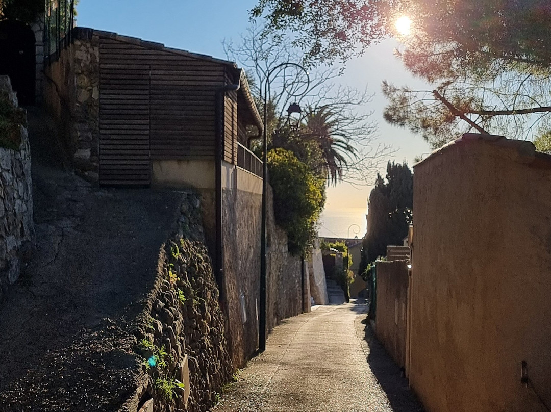 L'Olivier Millénaire-罗克布伦第马丁必去景点