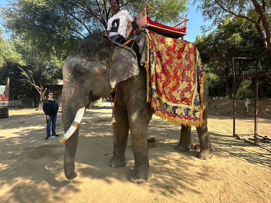 D.K. Car and Driver India-阿格拉必去景点