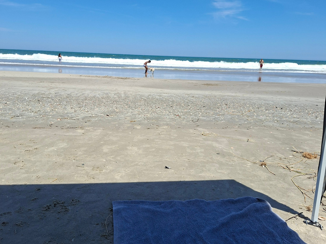 Praia Do Pereirinha-卡纳内亚必去景点