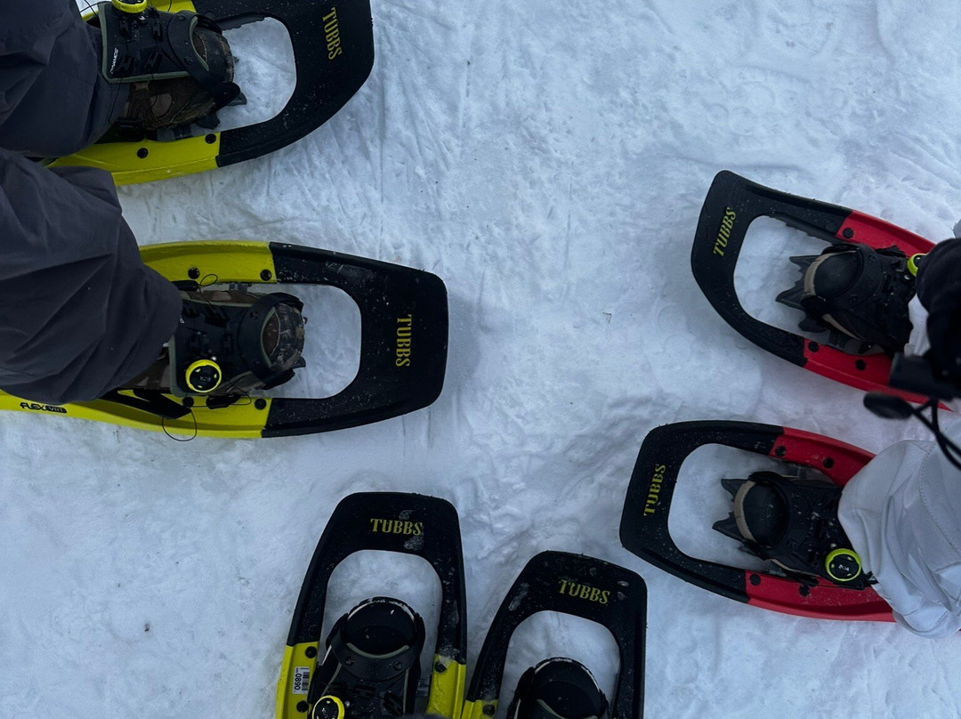 Sigdal Aktiv-Eggedal必去景点