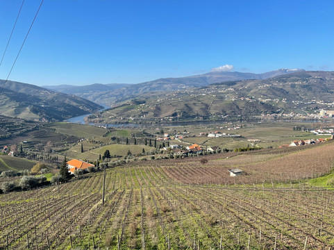 aDayinDouro-波尔图必去景点