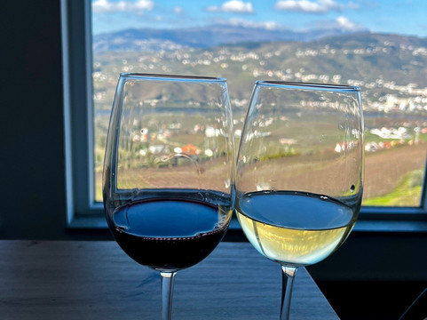 aDayinDouro-波尔图必去景点