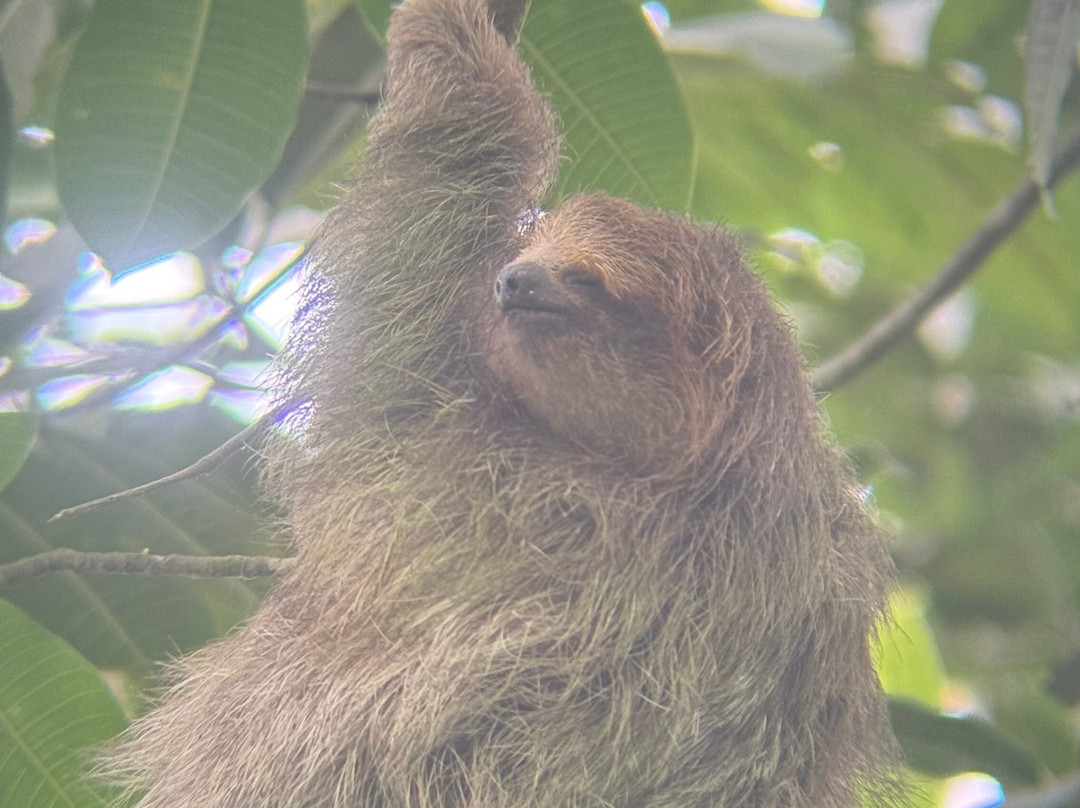 Arenal Oasis Wildlife Refuge-福德圣卡洛斯必去景点