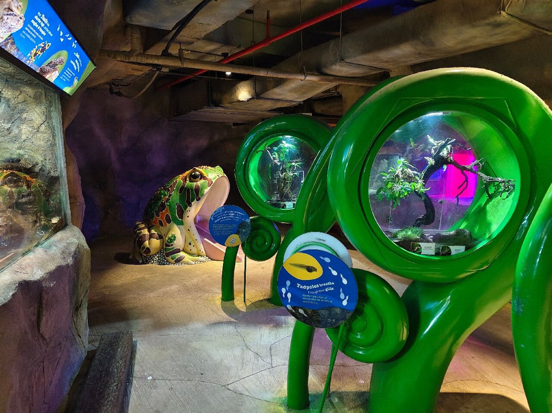 蟲鳴大地-巴巷海滩必去景点