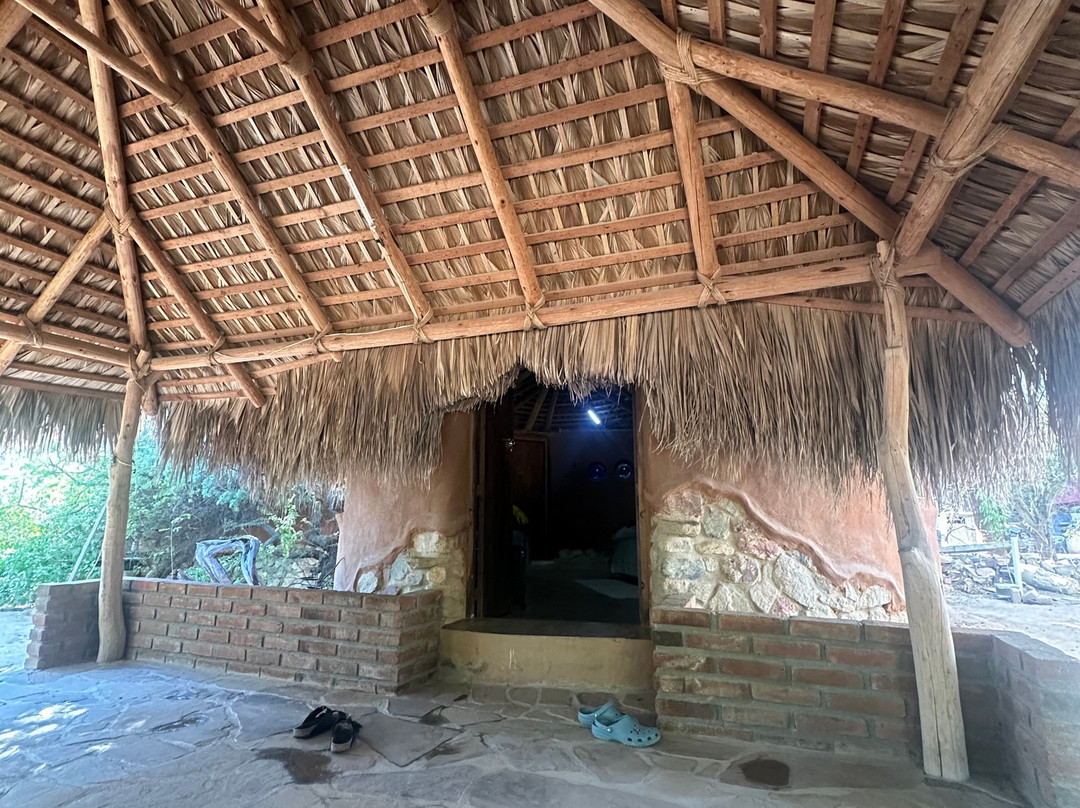 Cabo Pulmo Eco Adventures-Cabo Pulmo必去景点