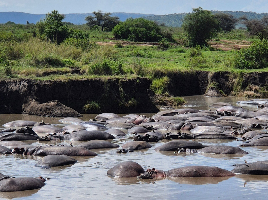 Udare Safari-阿鲁沙必去景点