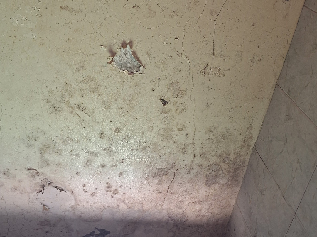 Hotel Rancho Santa Barbara主图