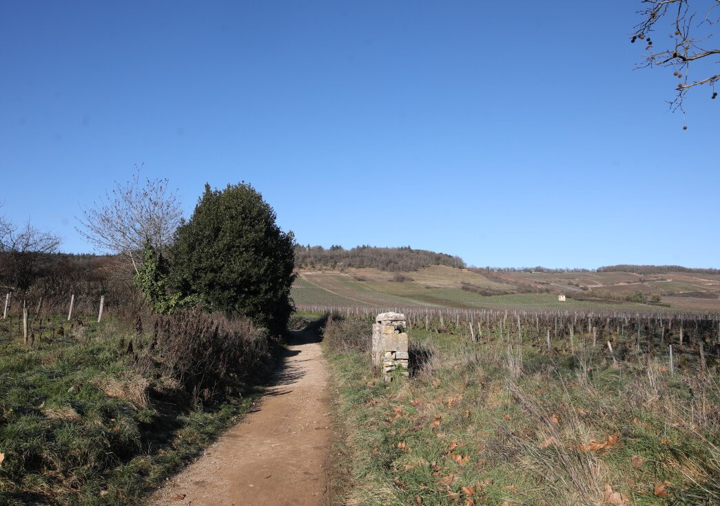 Statue de Notre Dame de Varanges-Givry必去景点