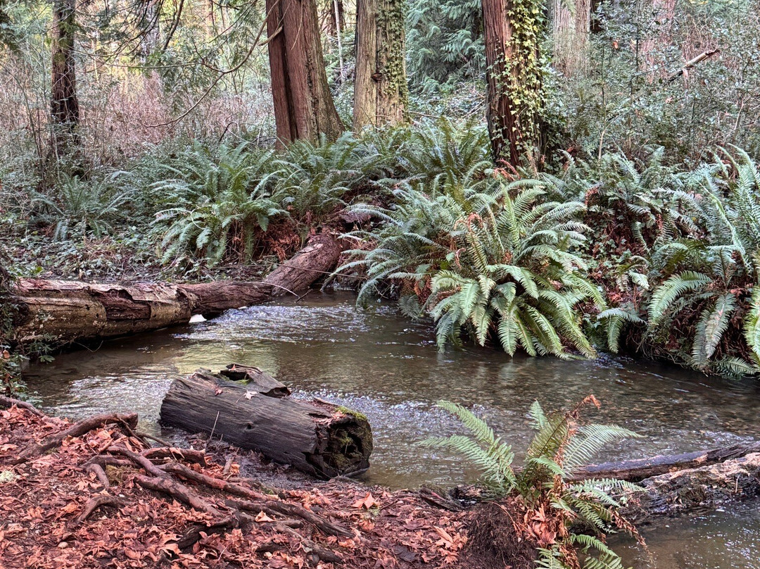 Esquimalt Lagoon Migratory Bird Sanctuary-Colwood必去景点