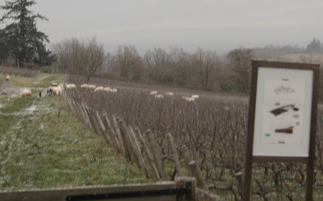 Château De Rougeon-Bissey-sous-Cruchaud必去景点