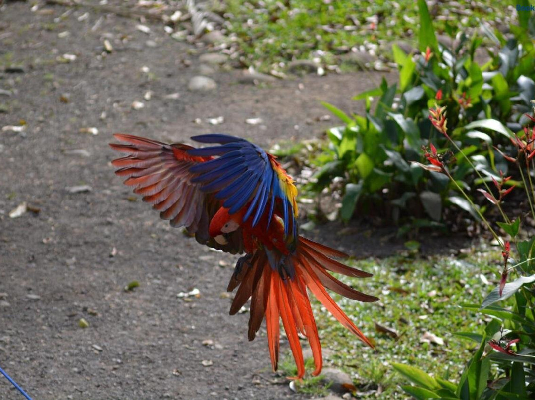 Finca Dos Calaveras