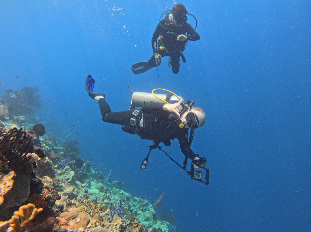 Menjangan Trip Snorkeling & Diving-Pejarakan必去景点