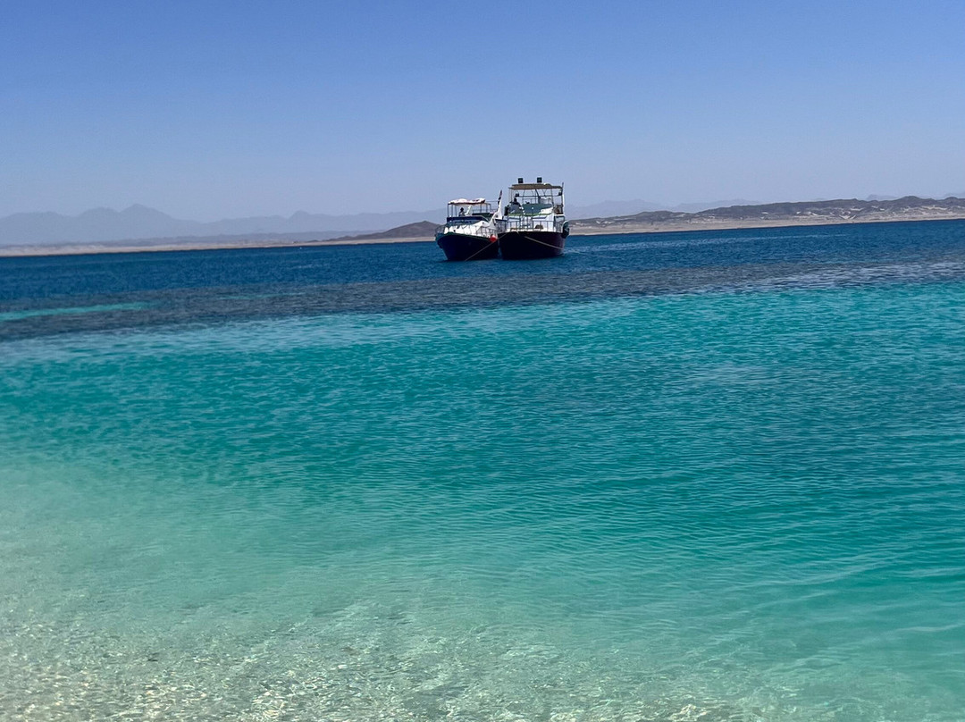 Wadi El Gemal National Park-马萨阿拉姆必去景点