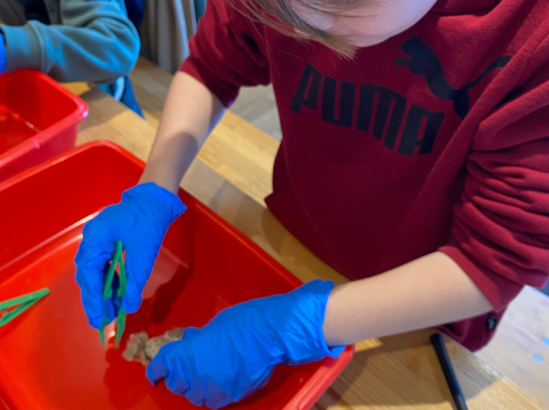 Feathers and Fur Falconry Centre-布拉克内尔必去景点