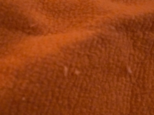 Belstay Milano Linate主图