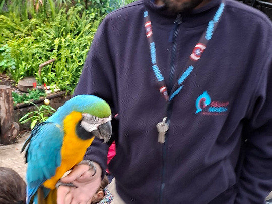 Selwo Marina-班纳玛德纳必去景点