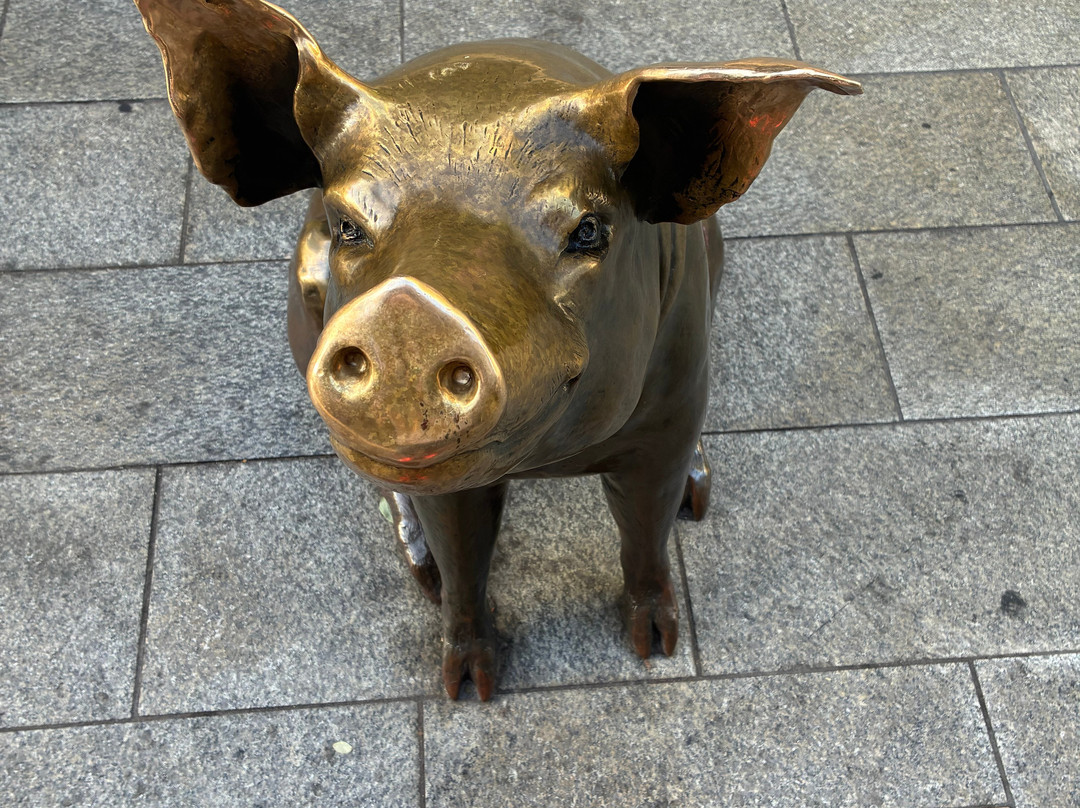 The Rundle Mall Pigs-阿德莱德必去景点
